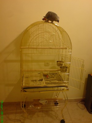 DSC01451.JPG