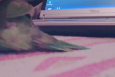1_IMAG0005.JPG