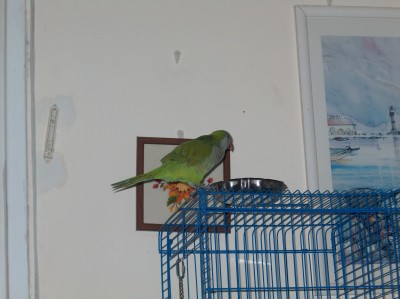 HPIM0742.JPG