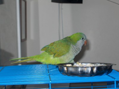HPIM0741.JPG