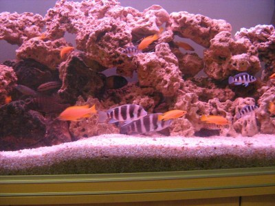 IMG_1113.JPG