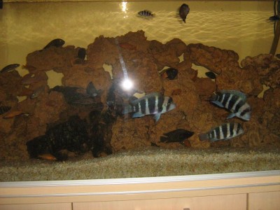 IMG_1115.JPG