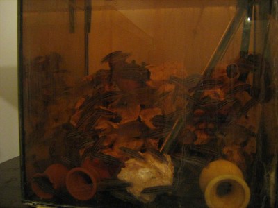 IMG_1097.JPG