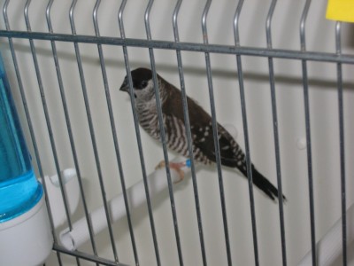 Picture 132.jpg
