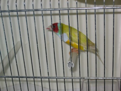 Picture 133.jpg