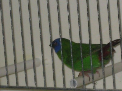 Picture 173.jpg