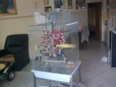 20100117_001.jpg