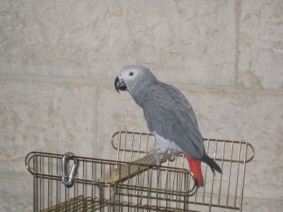 IMG_2564.JPG