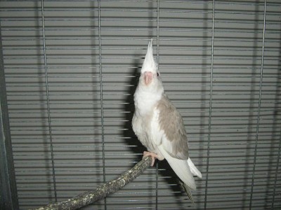 IMG_1129.JPG
