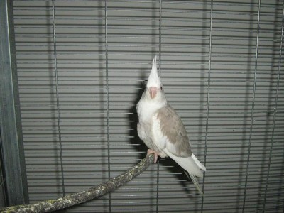 IMG_1125.JPG