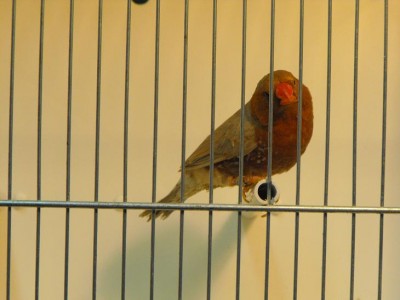 DSCF0289.JPG