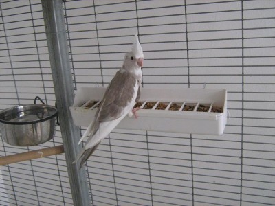 IMG_1130.JPG