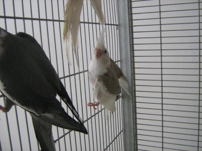 IMG_1132.JPG