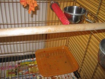 IMG_0332.jpg