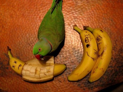 sbanana.jpg