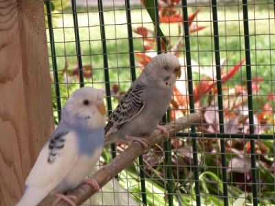 PICT0002-4.jpg