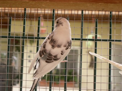 PICT0003-2.jpg