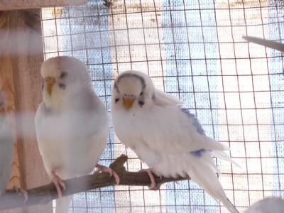 PICT0174.jpg