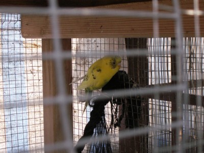 PICT0178.jpg
