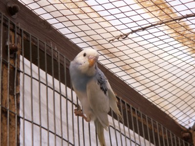 PICT0039-1.jpg