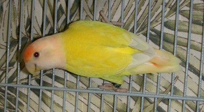 index_16.jpg