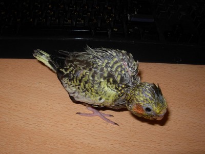 DSCN1924.JPG
