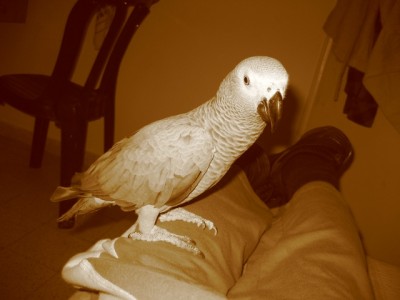 מסתכלת למצלמה ועושה פוזות