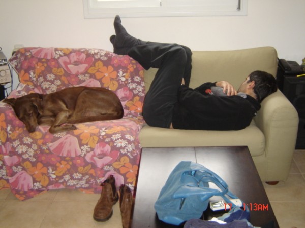 כי רק ככה מגדילים תוכים