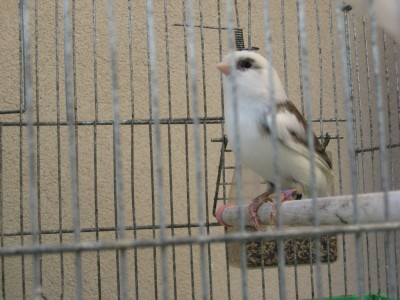 Image00004.jpg