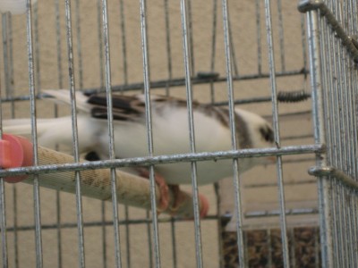 Image00002.jpg