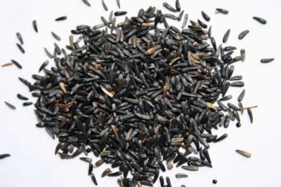black_henbane_seeds.jpg