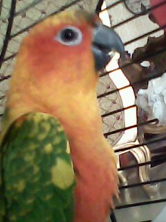 20100524_112229.jpg