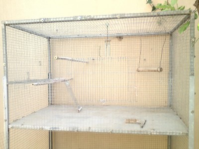 החלק העליון בלי התוכונים