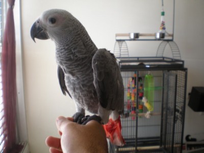 P6140387 [640x480].JPG