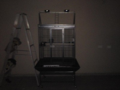 הכלוב של קוקו