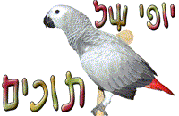 יופי-של-תוכים.gif