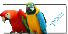 חתימה.png