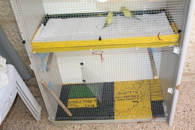 החצי השני של הכלוב,בעתיד כנראה יאכלסו אותו זוג קוקטיילים