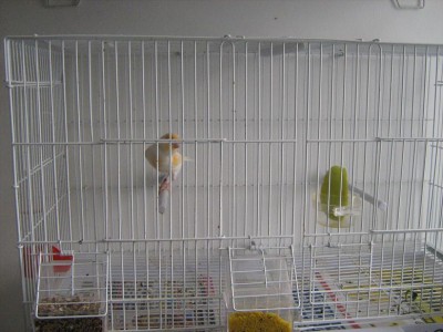 IMG_1708.JPG