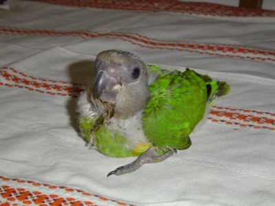 עם חייוך על השפתיים