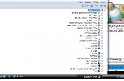 ללא שם.jpg