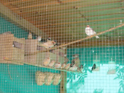 Picture 834.jpg