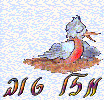 birss3.gif
