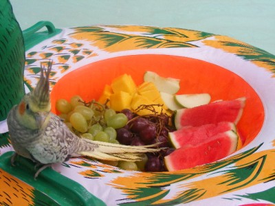 על גלגל ים בתוך הבריכה עם פירות קיץ