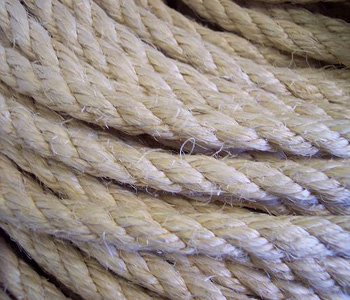 sisal16a.JPG