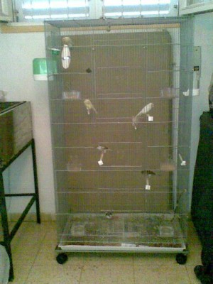 21082010.jpg
