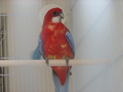 אופליין חזית.jpg