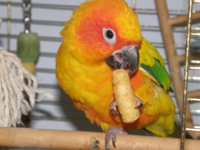 מנשנשת במבה - ממש לא על בסיס יומיומי