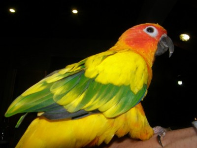 זוהרת בחושך =)