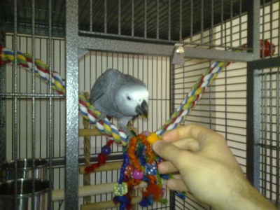 לואי מתלהב מגזר מאודה =]